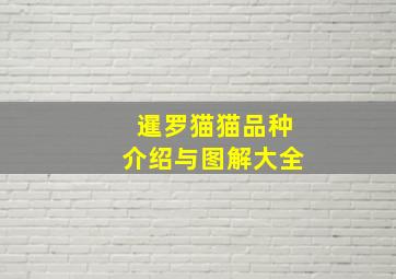 暹罗猫猫品种介绍与图解大全