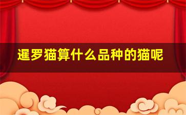 暹罗猫算什么品种的猫呢