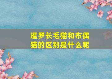 暹罗长毛猫和布偶猫的区别是什么呢