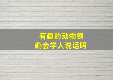 有趣的动物鹦鹉会学人说话吗