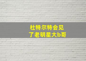 杜特尔特会见了老明星大b哥