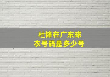 杜锋在广东球衣号码是多少号