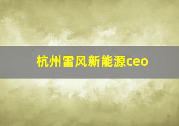 杭州雷风新能源ceo