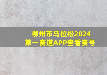 柳州市马拉松2024第一赛道APP查看赛号