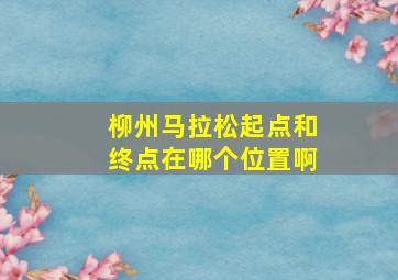 柳州马拉松起点和终点在哪个位置啊