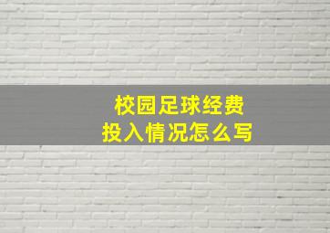 校园足球经费投入情况怎么写