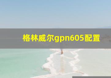 格林威尔gpn605配置