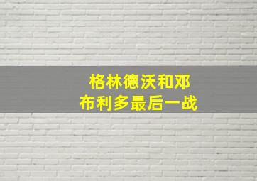 格林德沃和邓布利多最后一战