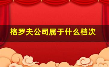 格罗夫公司属于什么档次