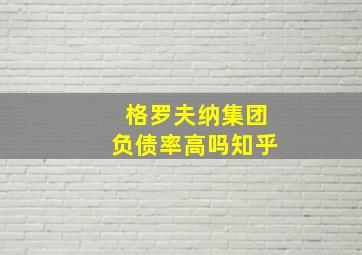 格罗夫纳集团负债率高吗知乎