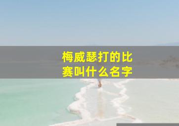 梅威瑟打的比赛叫什么名字