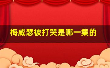 梅威瑟被打哭是哪一集的