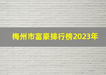 梅州市富豪排行榜2023年