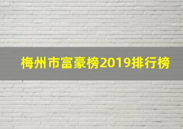 梅州市富豪榜2019排行榜