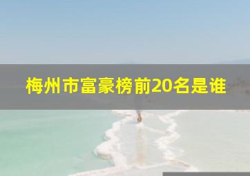 梅州市富豪榜前20名是谁