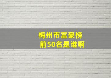 梅州市富豪榜前50名是谁啊