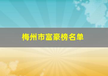 梅州市富豪榜名单