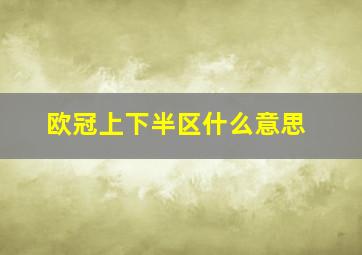 欧冠上下半区什么意思