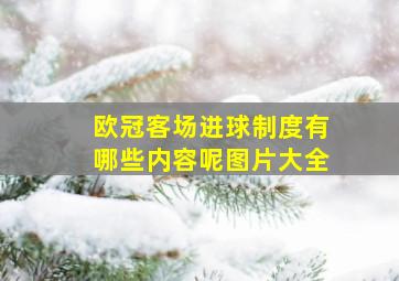 欧冠客场进球制度有哪些内容呢图片大全