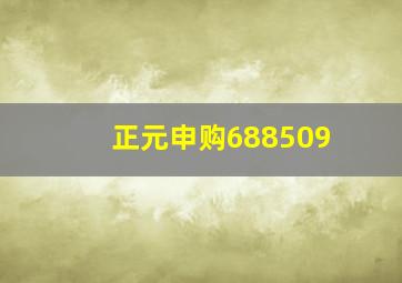 正元申购688509