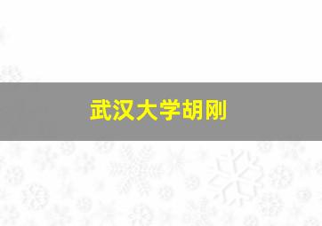 武汉大学胡刚