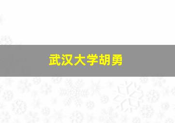 武汉大学胡勇