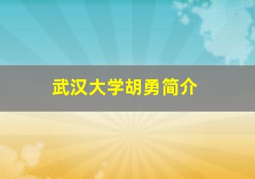 武汉大学胡勇简介