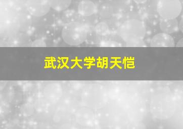 武汉大学胡天恺