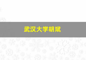 武汉大学胡斌