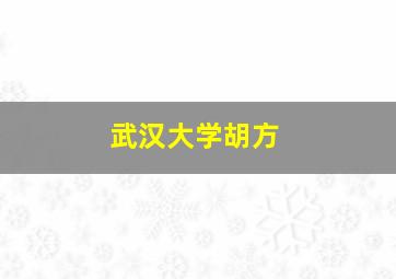 武汉大学胡方