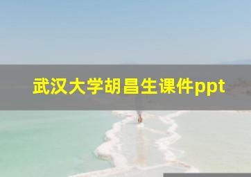 武汉大学胡昌生课件ppt