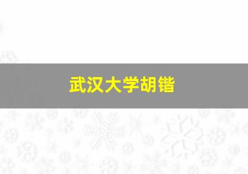 武汉大学胡锴