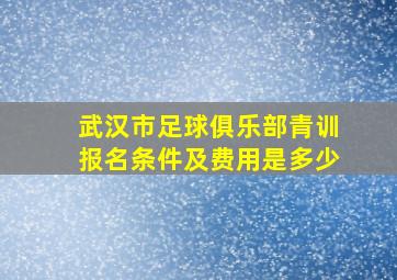 武汉市足球俱乐部青训报名条件及费用是多少