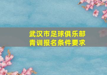 武汉市足球俱乐部青训报名条件要求