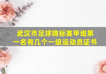 武汉市足球锦标赛甲组第一名有几个一级运动员证书