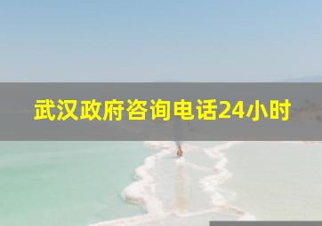 武汉政府咨询电话24小时