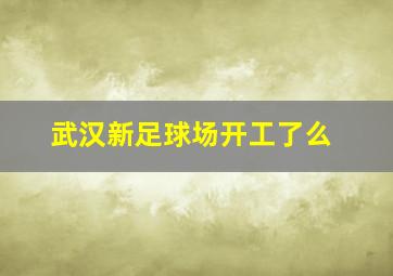 武汉新足球场开工了么