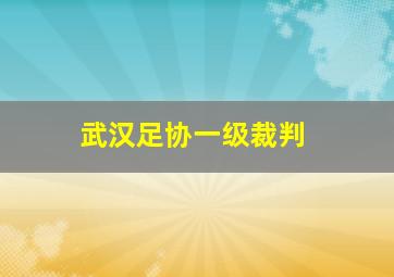 武汉足协一级裁判