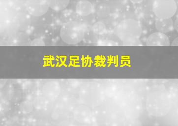 武汉足协裁判员