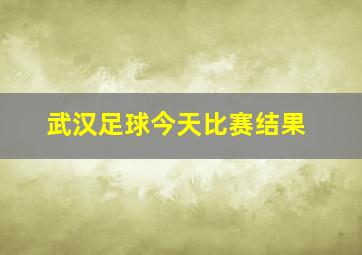 武汉足球今天比赛结果