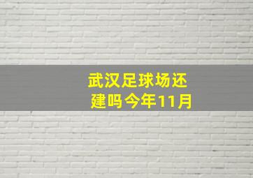 武汉足球场还建吗今年11月