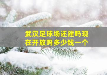 武汉足球场还建吗现在开放吗多少钱一个