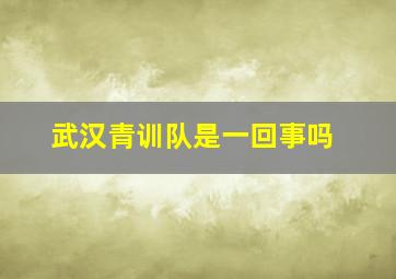 武汉青训队是一回事吗