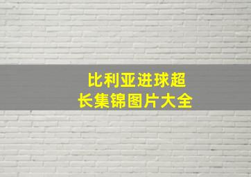 比利亚进球超长集锦图片大全