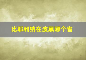 比耶利纳在波黑哪个省