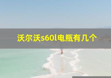 沃尔沃s60l电瓶有几个