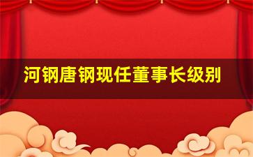 河钢唐钢现任董事长级别