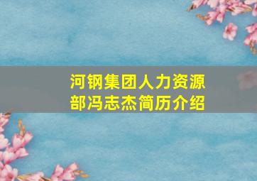 河钢集团人力资源部冯志杰简历介绍