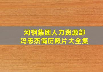 河钢集团人力资源部冯志杰简历照片大全集