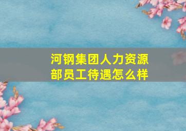 河钢集团人力资源部员工待遇怎么样